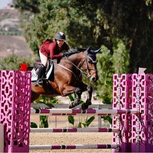 Gorgeous Maroon Alessandro Albanese Jumper’s Mesh Show Jacket in Women’s XXS